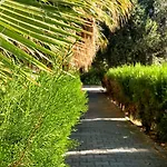 Rix * Girne