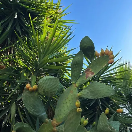 Lägenhet Rix Kyrenia (Northern Cyprus)