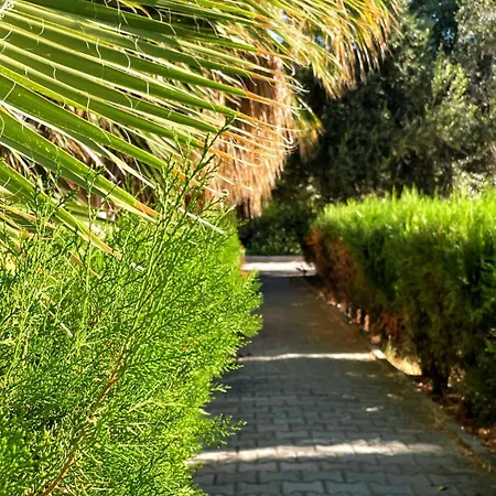 Rix Kiralama, Ortak Banyo Mutfak * Kyrenia (Northern Cyprus)