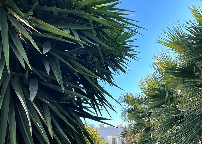 Апартаменты Rix *