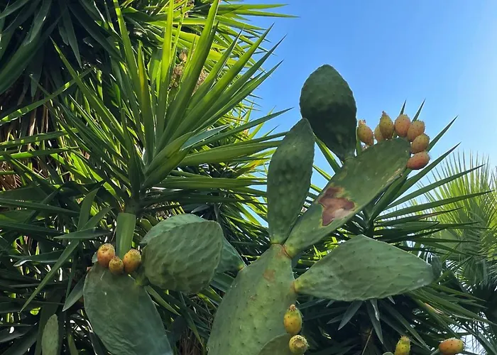 Appartamento Rix Kyrenia (Northern Cyprus)